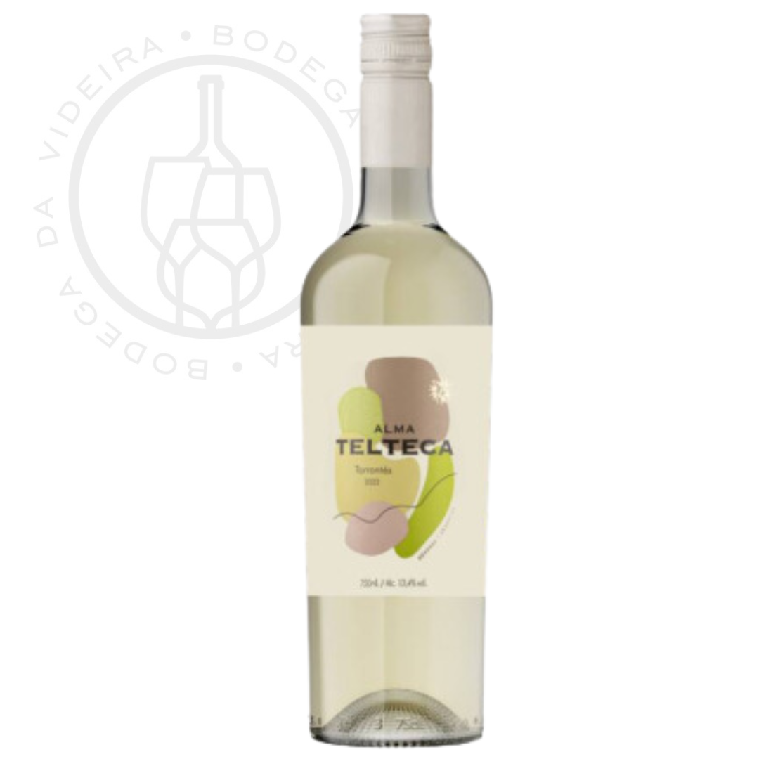 Vinho Finca Agostino Alma Telteca Torrontés 2022